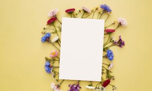 TRIVARNA PAPER PARADISE OFFSET & DIGITAL PRINTS, Hassan